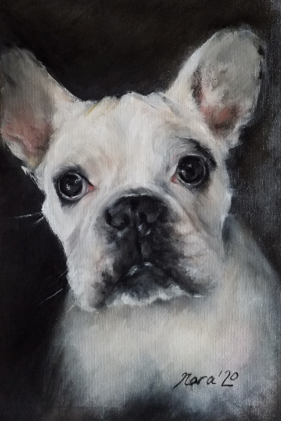 custom dog portrait oil painting