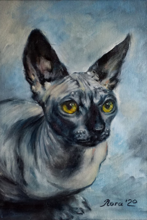 custom pet portrait oil painting