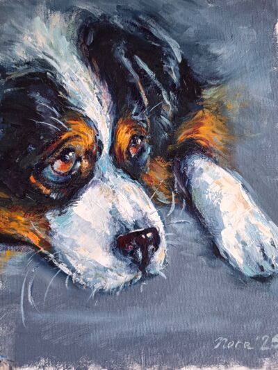 Sheltie dog Custom Pet Portrait
